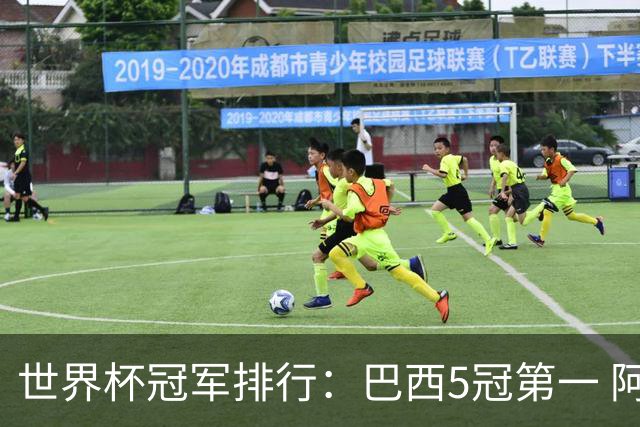 世界杯冠军排行：巴西5冠第一 阿根廷3冠排名第四
